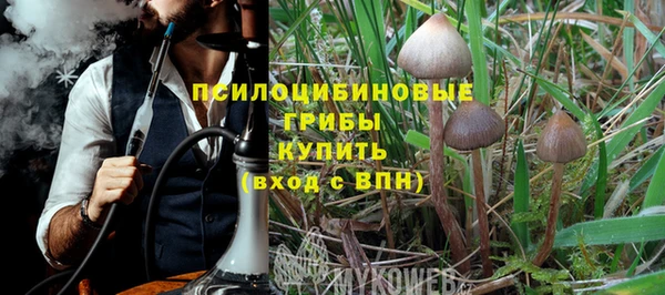 спиды Алексеевка
